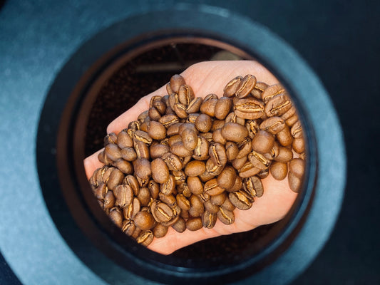 What is the difference between Arabica and Robusta coffee?