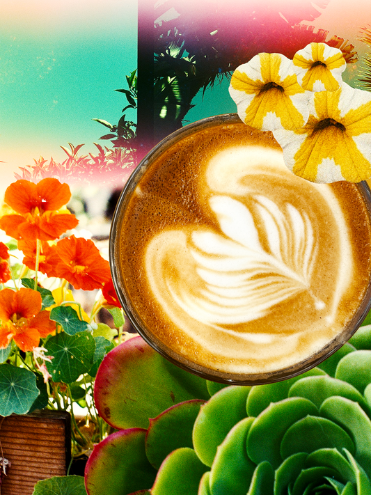 9 Reasons Why (the Right Amount of) Coffee Is Good for YouâŚ.