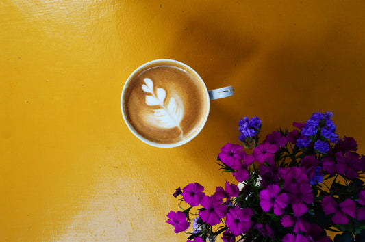 Guatemala Huehuetenango Organic | SHB/EP