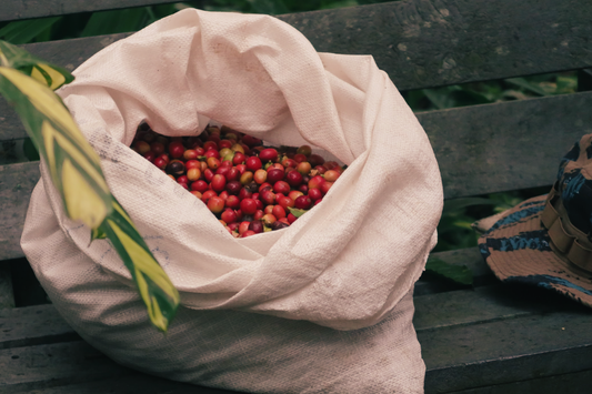 Single Origin vs. Post Blend