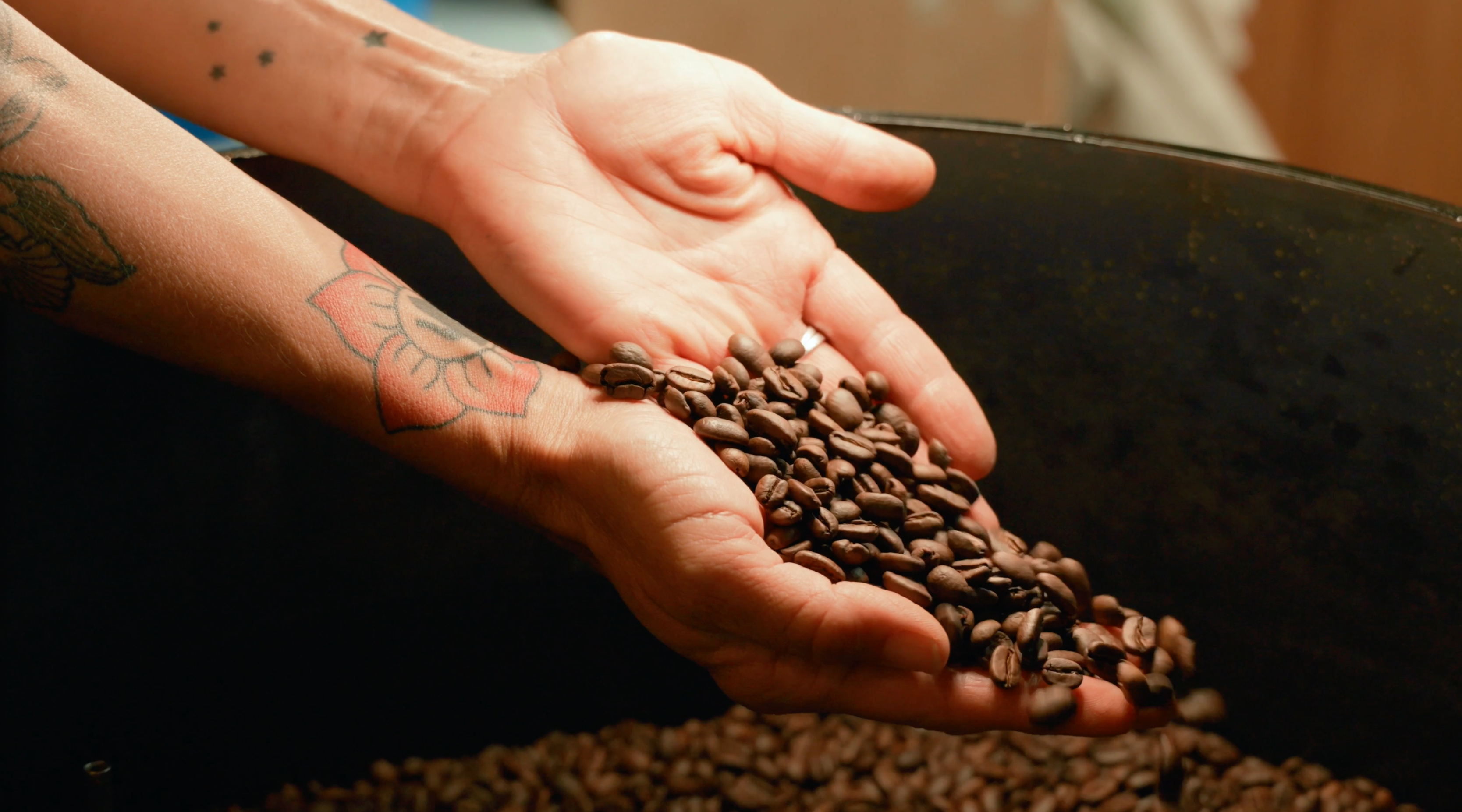 Load video: TLC Roasters La Jolla, CA